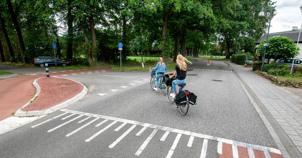 Monumentale eik hoeft niet te wijken voor fietspad Laag-Soeren