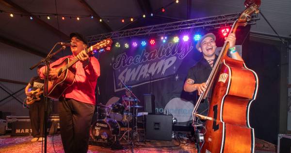 Rockabilly Swamp in De Mortel: glanzende Cadillacs en kuiven in overvloed - Eindhovens Dagblad
