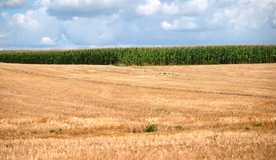 Brengt de voorspelde neerslag eindelijk verlossing voor de droogte? ‘Binnen twee weken zullen strengere maatregelen nodig zijn’