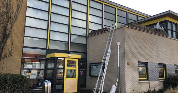 Gemist? Boete voor piemelzwaaier bij de Carwash in Apeldoorn - De Stentor