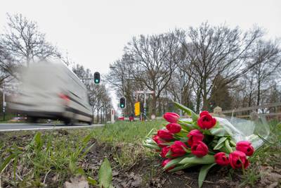 Oversteek N224 bij Landgoed Kernhem in Ede wordt veiliger