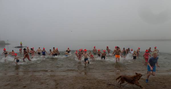 Nieuwjaarsduik in Andel op een andere plek succesvol - BD.nl