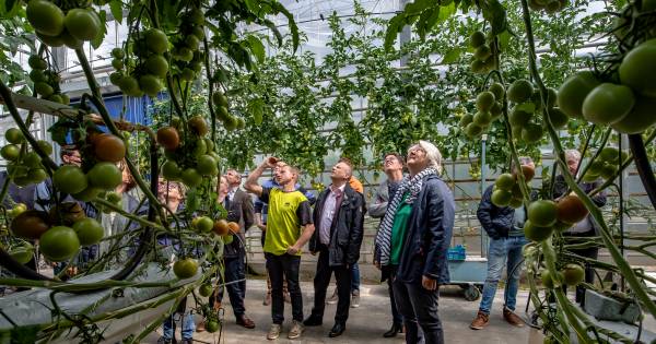 Roosendaals college van B en W heeft leerzame middag bij agrariërs in Moerstraten