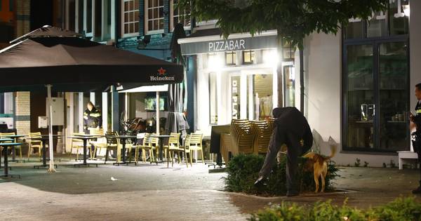Eigenaar De Plataan na schietincident in Zwolle: 'Personeel rende overstuur naar binnen' - De Stento