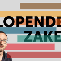 ▶ Deze ministers besturen Vlaanderen: ‘Demir op Onderwijs, dat zal voor stakingen zorgen’