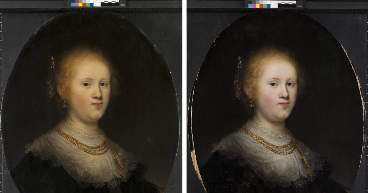 Kenner over nep-Rembrandt: 'Ik ben wel klaar met dit schilderij' |  Binnenland | gelderlander.nl