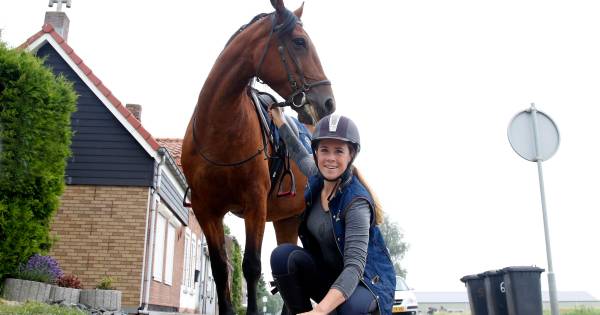 Bordjes in paardenpoep: 'Ik kom het zo opruimen, groetjes Mandy' - PZC
