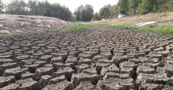 Het klimaat verandert en daardoor stijgt de waterschapsbelasting - AD.nl