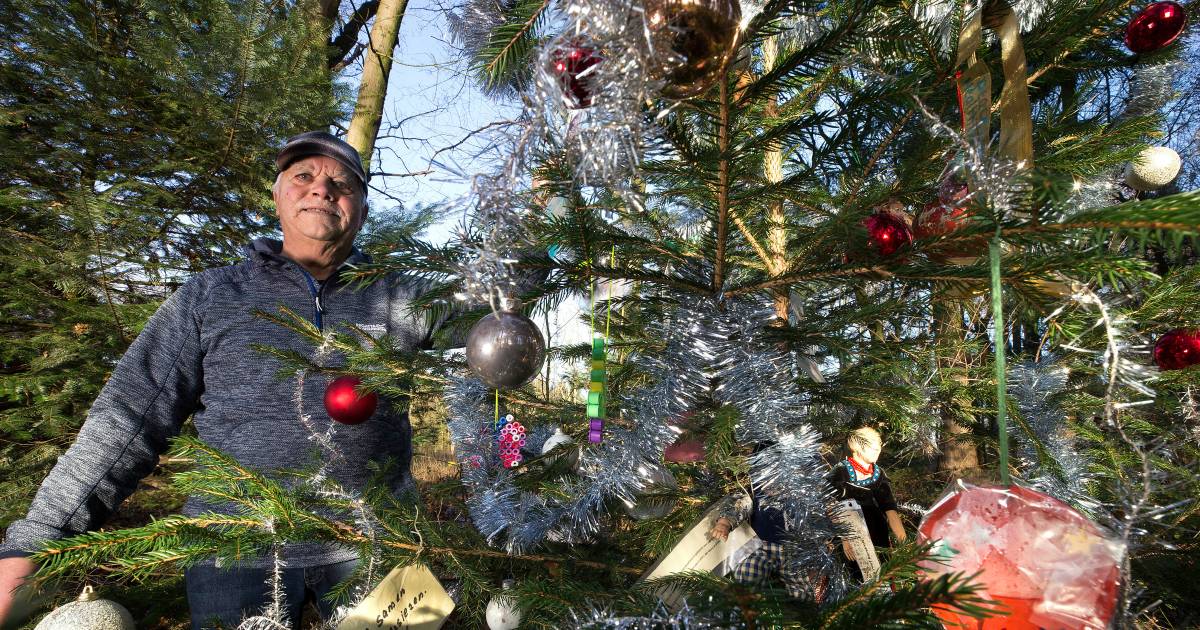 Henk krijgt veel warme reacties op de kerstboom die hij versiert voor zijn Rietje: 'In één woord gew