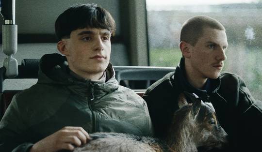 Fictiereeks ‘Putain’ met acht prijzen de grote winnaar van de Ensors, ook film ‘Julian’ domineert