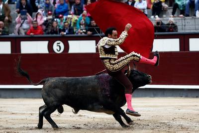 Stier neemt torero op de horens in Madrid