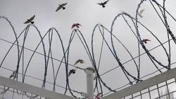 Ambassade marokko belgie