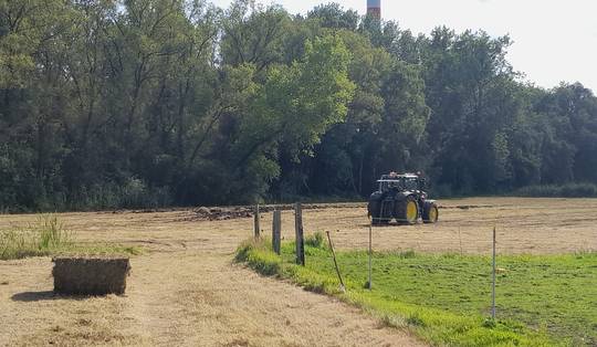 ‘Een enorme stap vooruit’: ook de landbouwlobby erkent nu de nood aan minder vlees eten