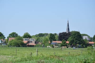 Rechter: koeien moeten zo snel mogelijk terug naar 10 in Riel