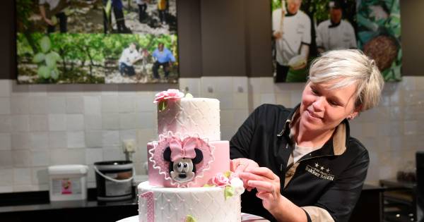 Esther uit Usselo aan de slag als taartarchitect: 'Een taart is op zichzelf al een cadeau'