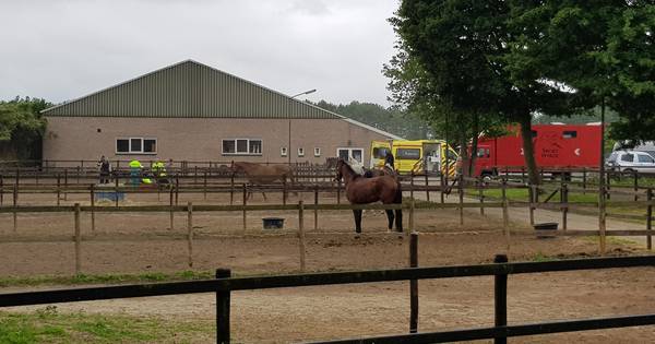 Vrouw zwaargewond naar ziekenhuis na trap van paard in Baak