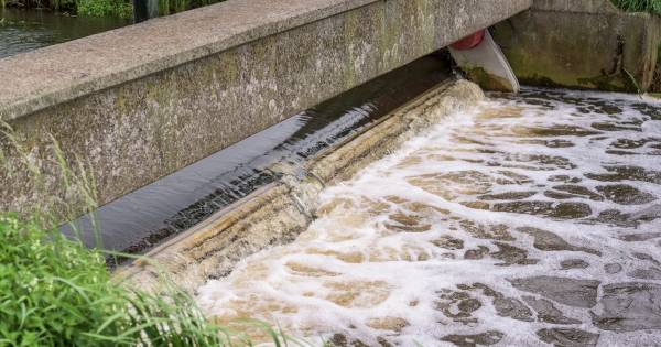 Waterschap pompt water de Bommelerwaard in