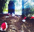 ‘Kunstroof’ in Heers? Schepen liet kunstwerk van 4.800 euro op containerpark storten