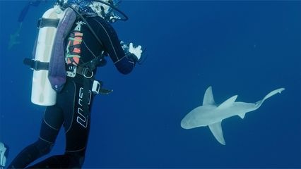 3. Killers of the Deep