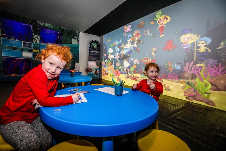 Teken zelf de dieren in het virtueel aquarium van Sea Life