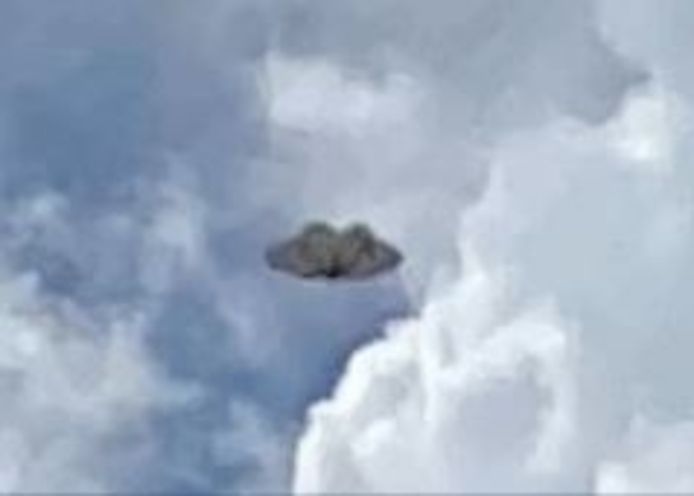 De ufo die in Wilrijk gespot werd, lijkt wel heel hard op een vlinder.