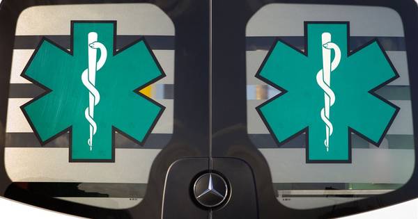Dierenhulp Zeeuws-Vlaanderen heeft nu eigen ambulance - PZC