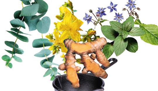 ‘Een tragisch voorbeeld is wat influencer Ellen Baetens overkwam’: hoe onschuldig zijn alternatieve therapieën zoals kruidengeneeskunde?