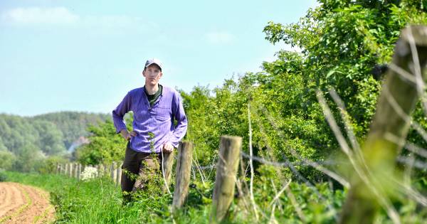 Boeren in de Ooijpolder zorgen graag voor de natuur - De Gelderlander