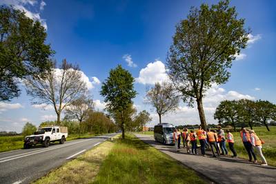 Omstreden bomenkap in Achterhoek uitgesteld: honderden oude eiken blijven voorlopig staan