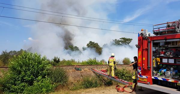 Geen treinen tussen Ommen en Mariënberg vanwege bosbrand - De Stentor