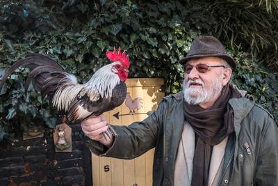 Gezocht: nieuwe voorkraaier voor hanenkraaiwedstrijd in Grafwegen