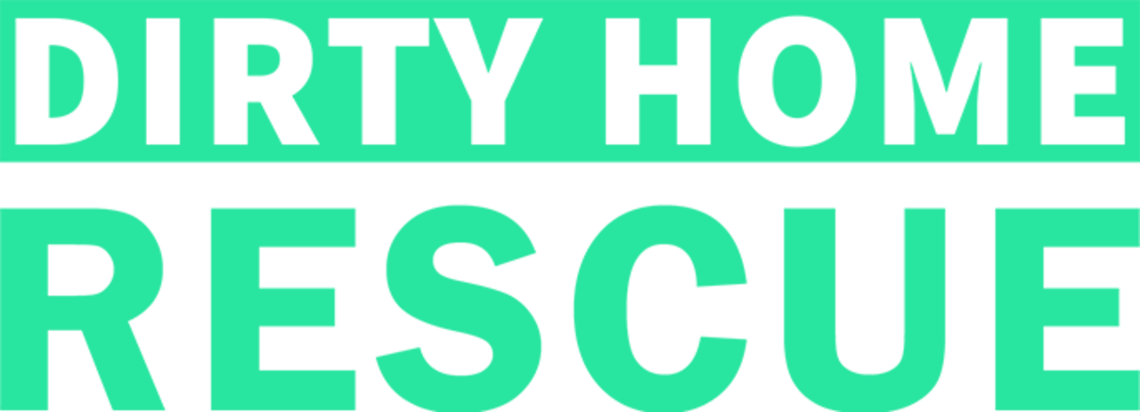 Dirty Home Rescue