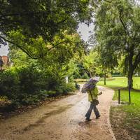 Meer groen, minder beton: steden pakken er graag mee uit, maar is Vlaanderen echt groener geworden?