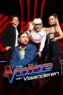 boxcover van The Voice van Vlaanderen