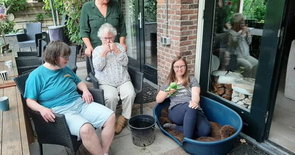 Verstandelijk beperkte bewoners missen hulphond Tooske: 'Het moet in Opsporing Verzocht!' - BD.nl