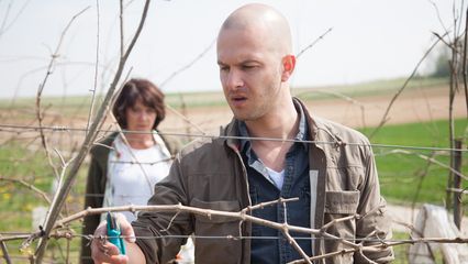 Aflevering 1