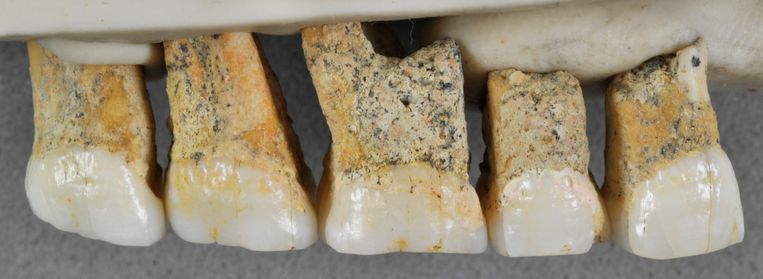 Het formaat van de gevonden tanden wijst erop dat de Homo luzonensis klein van stuk was.