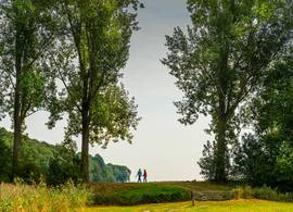 Zelfs een korte wandeling kan al helpen als je in een dip zit
