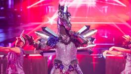 Eenhoorn gaat trouwen met de nacht