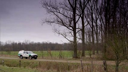 6. Wild van Dieren - 6