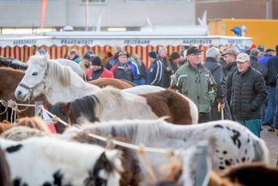 Onderzoek naar behoud eeuwenoude paardenmarkt in Goor