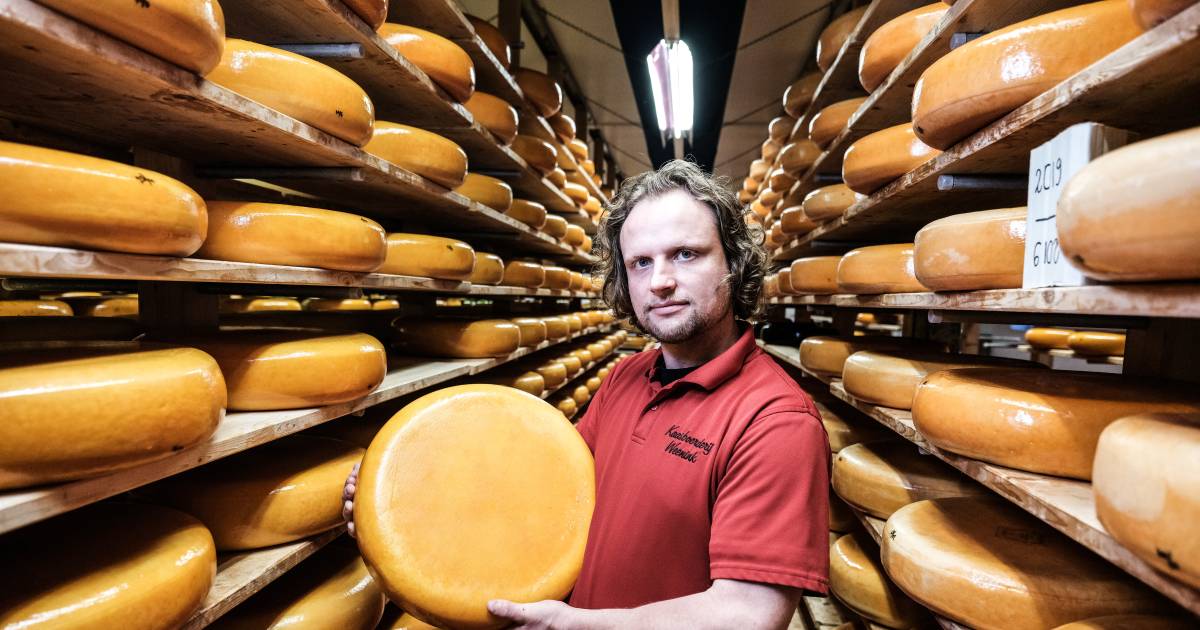 Eventjes 300 kazen snel in een busje laden....