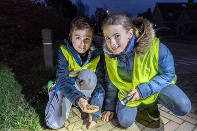 Tygo en Marit beschermen de padden tegen plettende autobanden