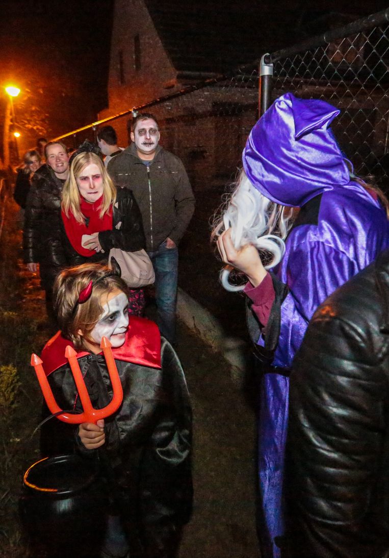 Mandelstreek Siddert En Beeft Tijdens Halloween Dentergem In