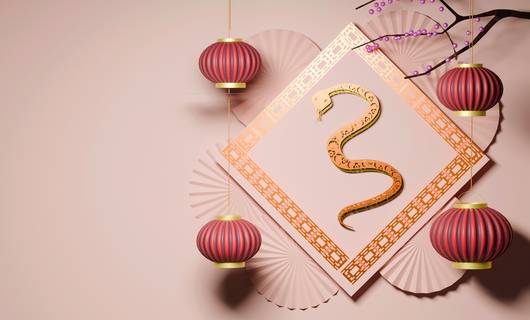 2025 is het Chinese jaar van de Slang: dít betekent het voor jou