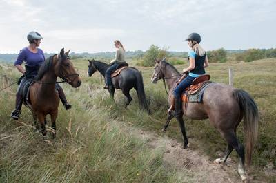 Vergeten Veenendaals ruiterpad komt weer tot leven