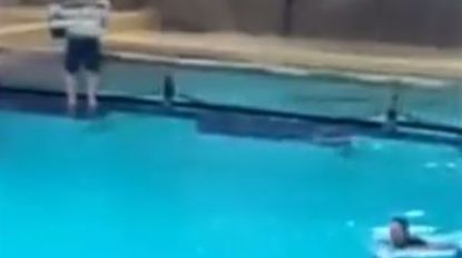 VIDEO: Opnieuw verstoren activisten dolfijnenshow Boudewijn Seapark