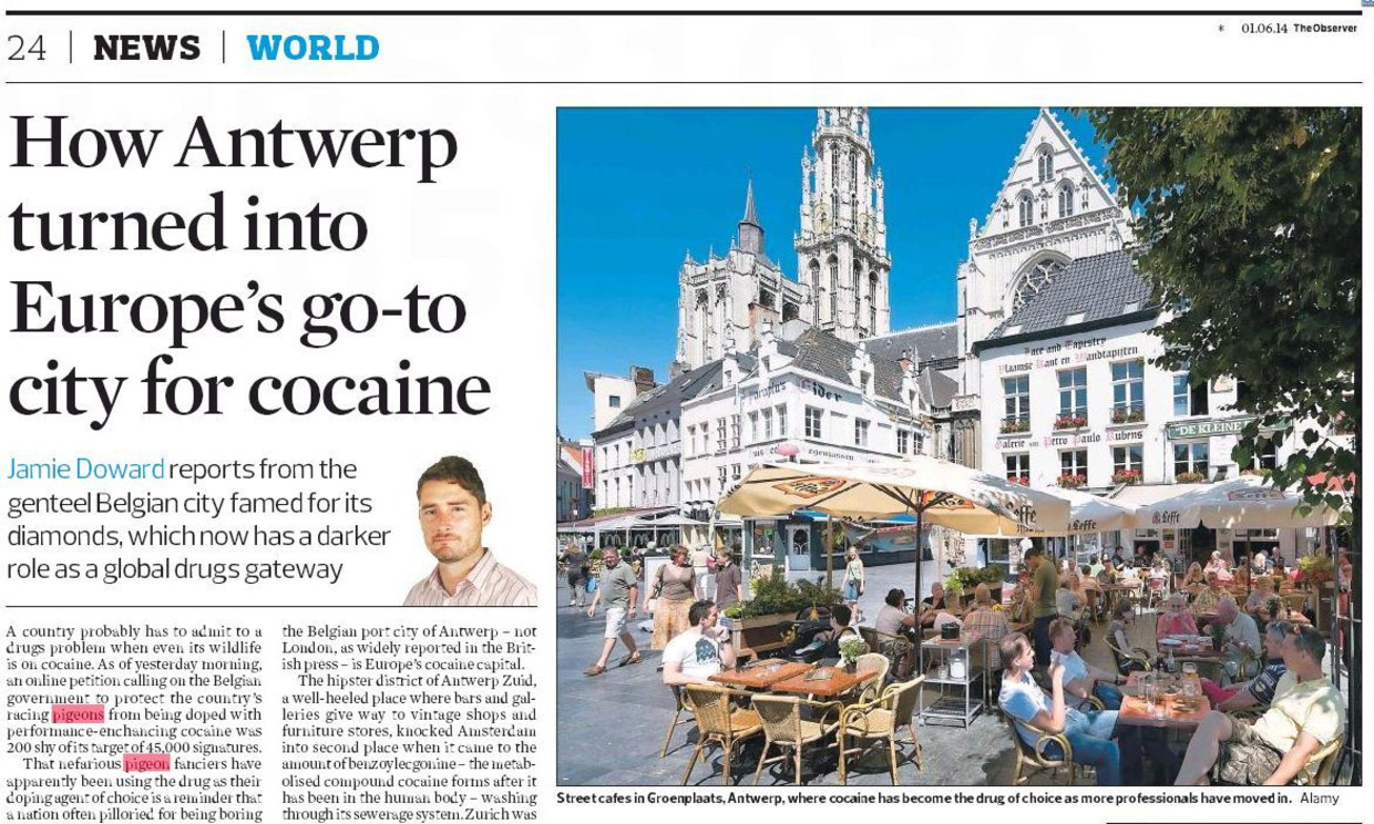 Zelfs Belgische Duiven Zitten Aan De Coke De Morgen