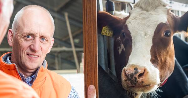 'Ik zie een gedreven man die dol is op koeien' - AD.nl