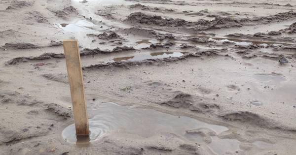 Schelderadarketen breidt verder uit | Zeeuws-Vlaanderen - PZC